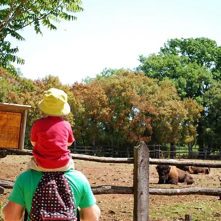 Lagrange Grand Bleu - Les Segalieres 3* Грама